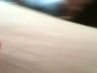 White dog xxx got fucked in the ass